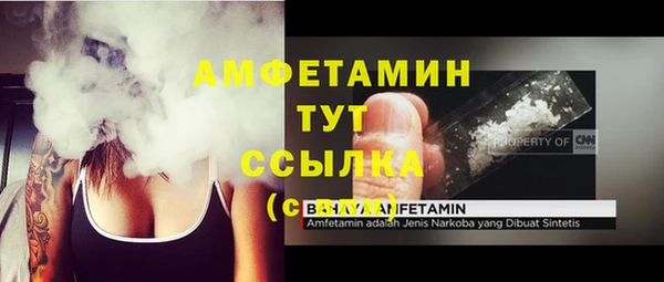 ГАЛЛЮЦИНОГЕННЫЕ ГРИБЫ Алексин