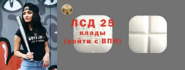 PSILOCYBIN Магас