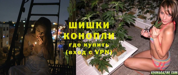 PSILOCYBIN Магас