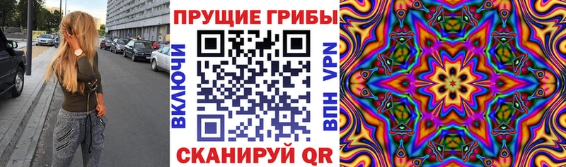 Галлюциногенные грибы Cubensis  где можно купить наркотик  Шарыпово 